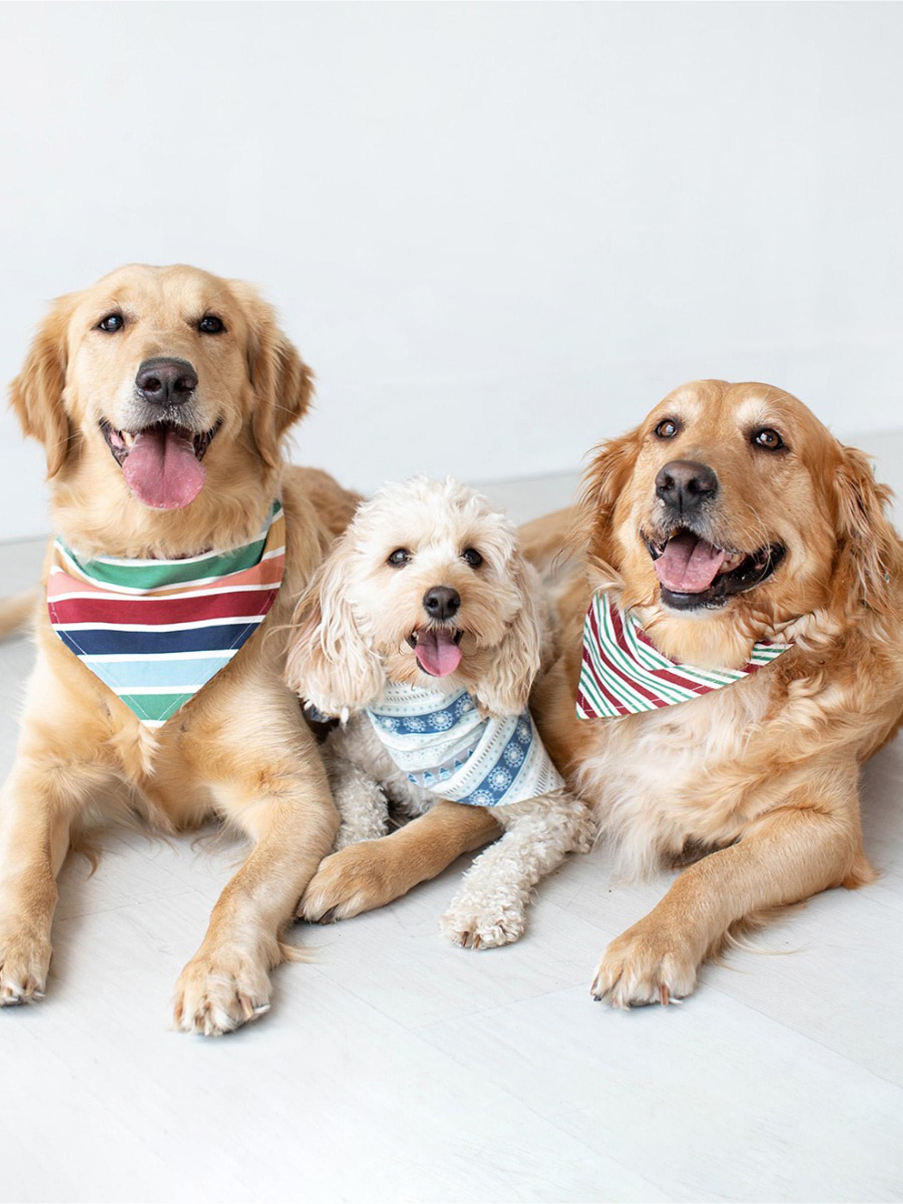 Frosty Stripe Pet Bandana