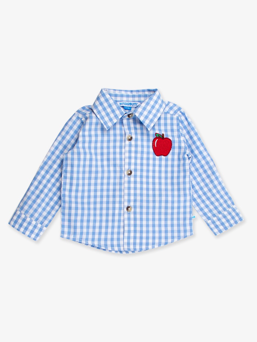 Red Apple Embroidered Classic Periwinkle Blue Gingham Long Sleeve Button Down Shirt