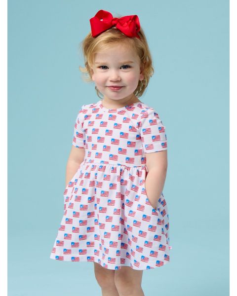 Freedom Flags Knit Short Sleeve Twirl Dress