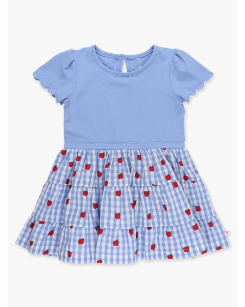 Apple Orchard Classic Gingham Mixed Media Short Sleeve Tiered Dress