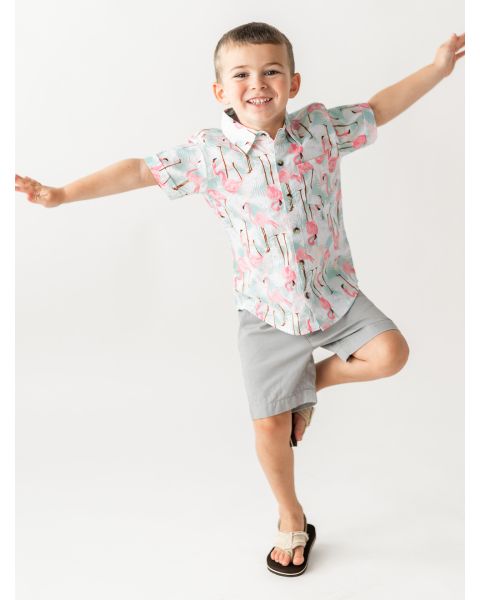 Vibrant Flamingo Short Sleeve Button Down Shirt