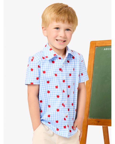 Apple Orchard Gingham Knit Performance Short Sleeve Button Down Shirt