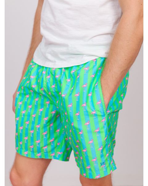 Neon Flamingo Stripe Men's Swim Trunks