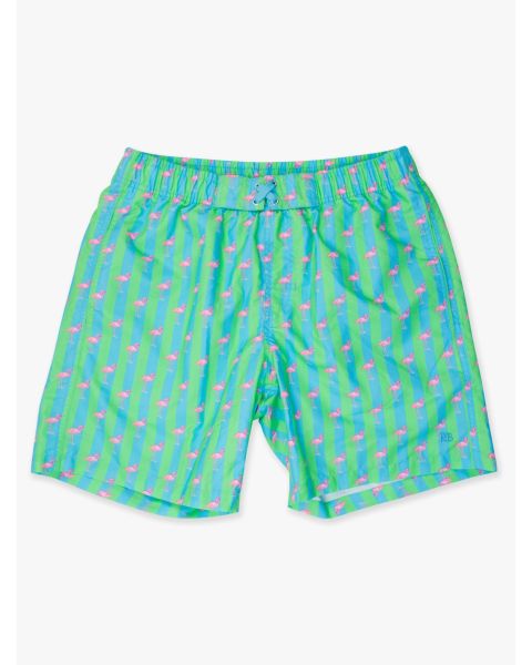 Neon Flamingo Stripe Men's Swim Trunks