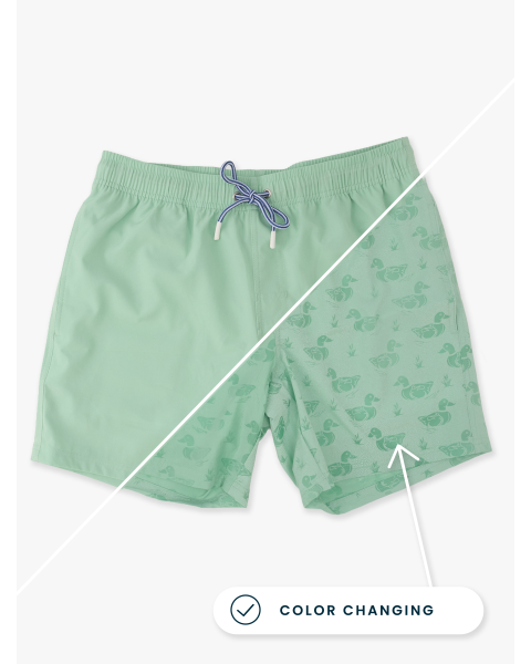 Sage Mallards Color Changing Men's Performance Hybrid Swim Trunks