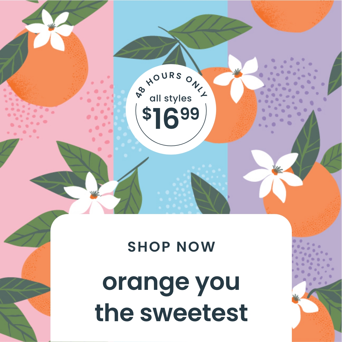 48 Hours Only All $16.99 - Orange You The Sweetest Shop Sale