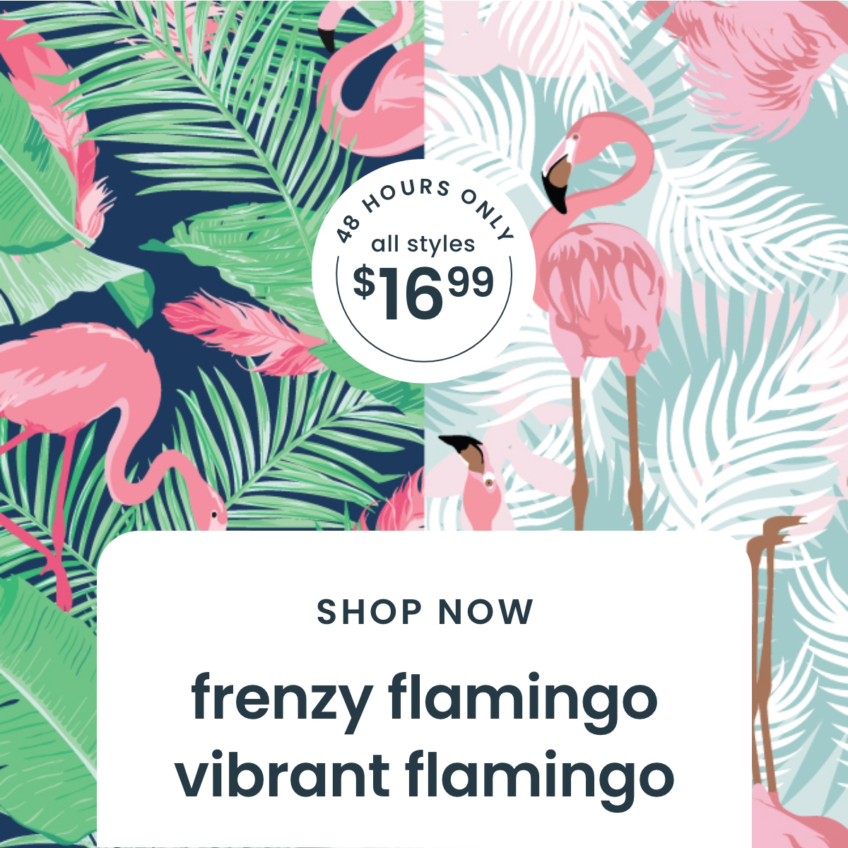 48 Hours Only Flamingo Frenzy & Vibrant Flamingo Starting at $16.99