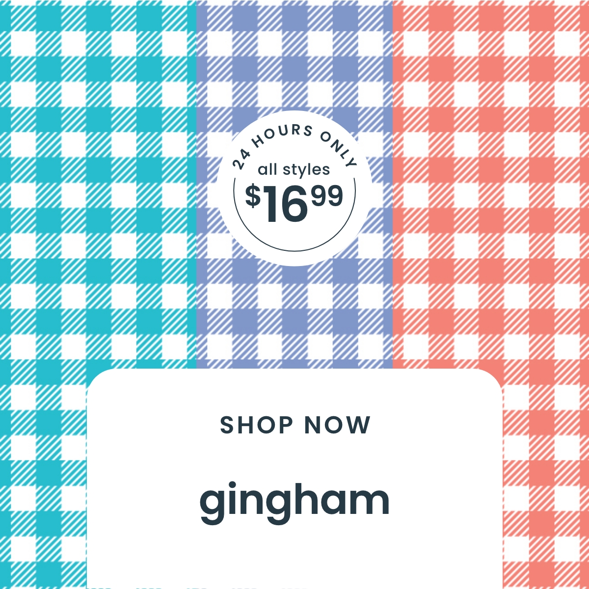 24 Hours Only All $16.99 - Gingham Swim - Shop Sale