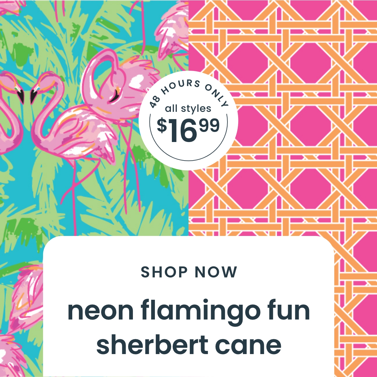 EXPIRED Neon Flamingo Fun & Sherbet Cane 48 Hours Only $16.99 | Shop Sale