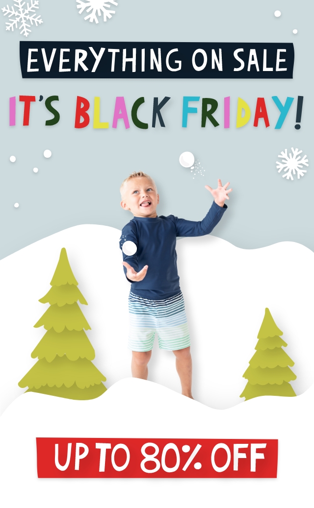 Festive winter banner with snowflakes, trees, and snow-covered hills. Bold colorful text reads ‘Everything on sale — It’s Black Friday!’ with a red label below stating ‘Up to 80% off.