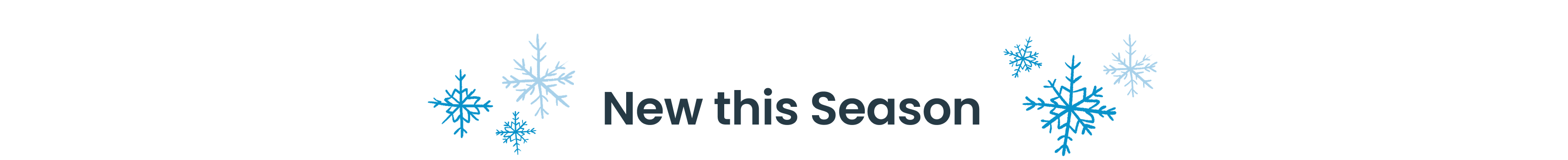 "Holiday-themed banner with blue snowflake illustrations. Text reads &lsquo;New this Season.&rsquo;"
